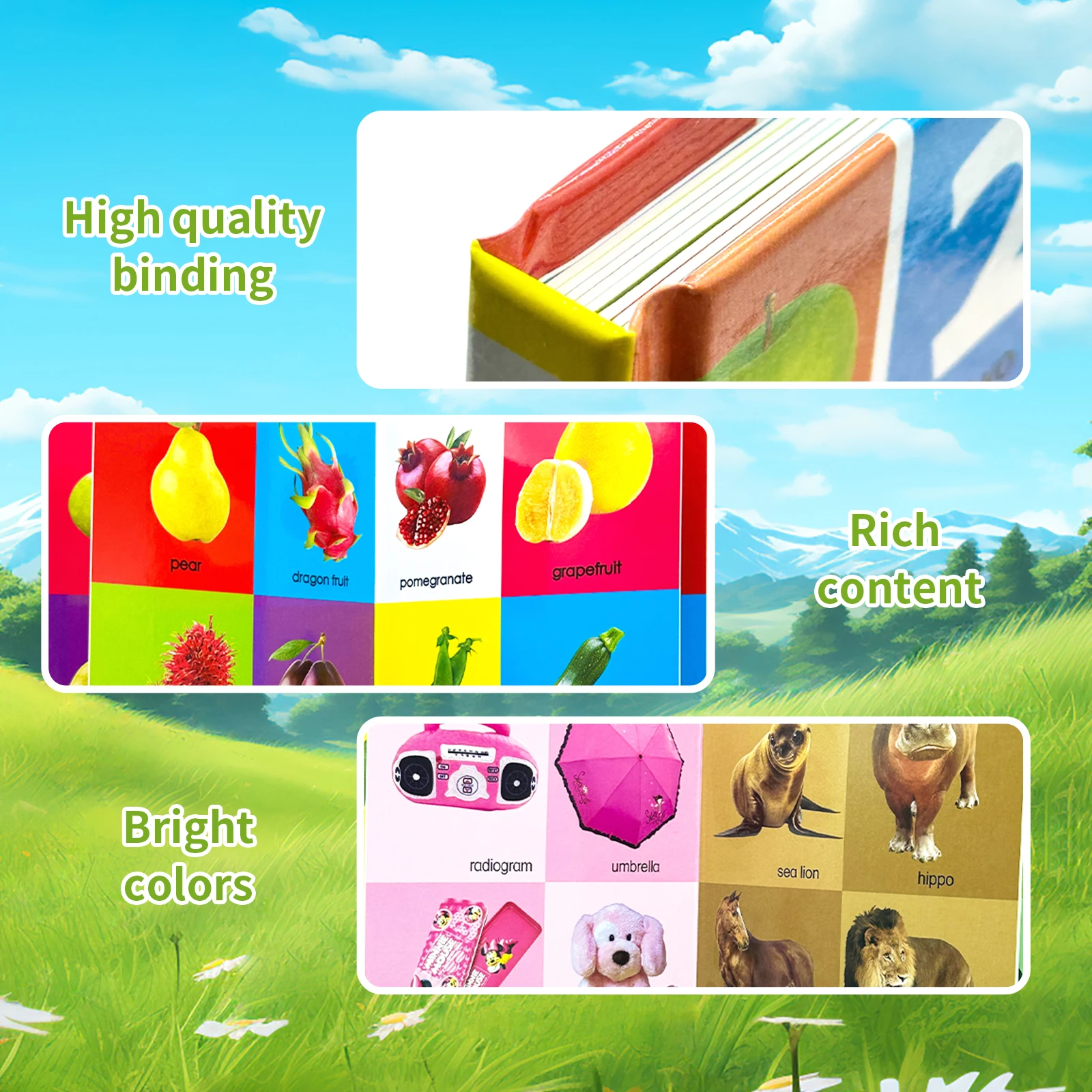 1 set of 4 English learning board books ,basic language learning - Image 7