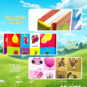 1 set of 4 English learning board books ,basic language learning - Thumbnail Image 3